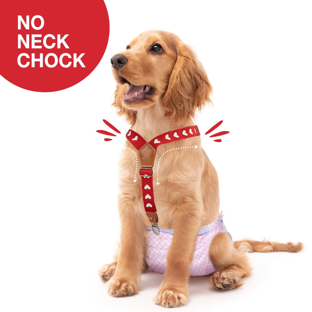 Bretelles Pet Soft pour chien, trois tailles pour un ajustement fiable.