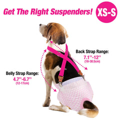 Pet Soft suspendeurs clips métalliques remplaçables, remplacement facile.