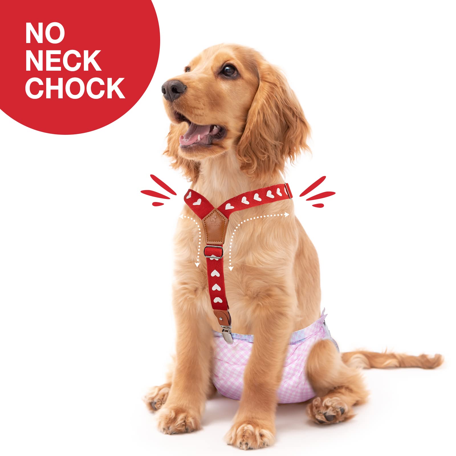 Pet Soft clip métallique remplaçable – entretien facile et longévité