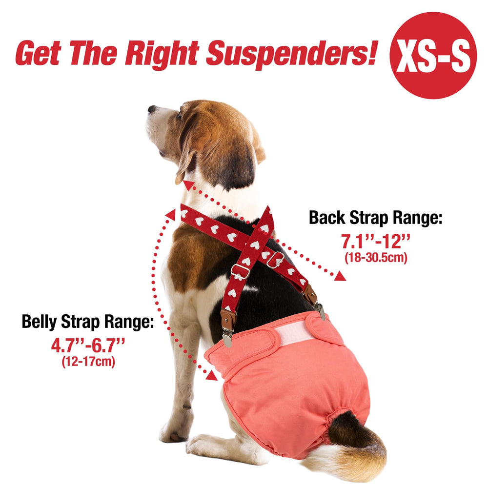Système ajustable XS-S Pet Soft, taille adaptée