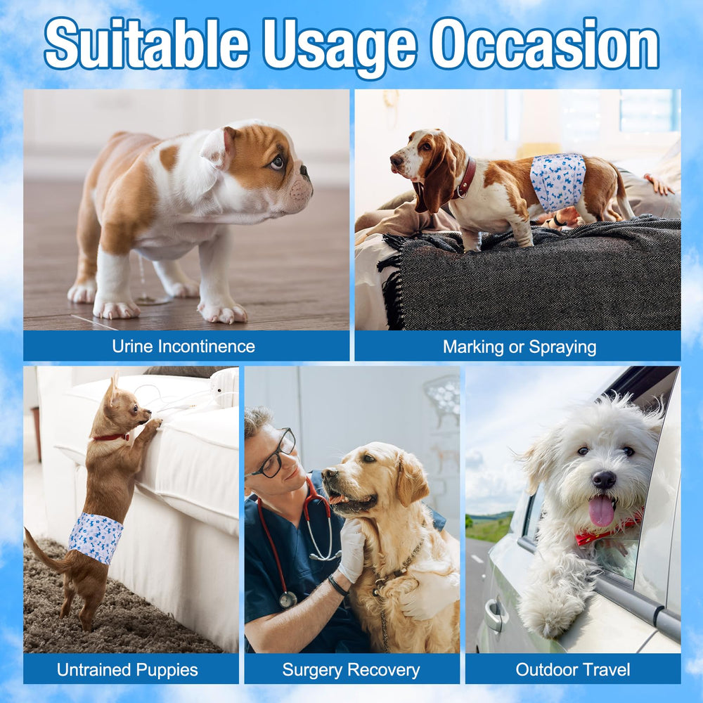 Pet Soft: taille XS adaptée aux petits chiens comme le chihuahua.