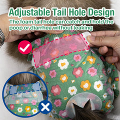 Pet Soft usage quotidien et voyage, protection fiable lors des déplacements.