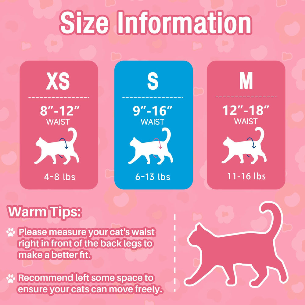 Pet Soft usage quotidien et voyage pour chats.