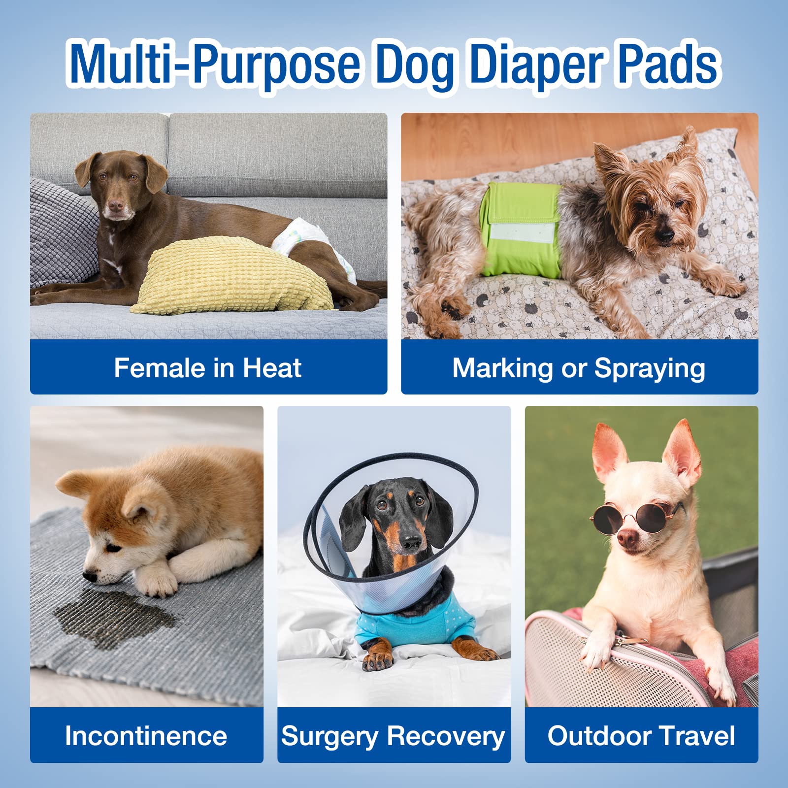 Utilisation facile dans les couches pour chien, nettoyage et propreté accrus