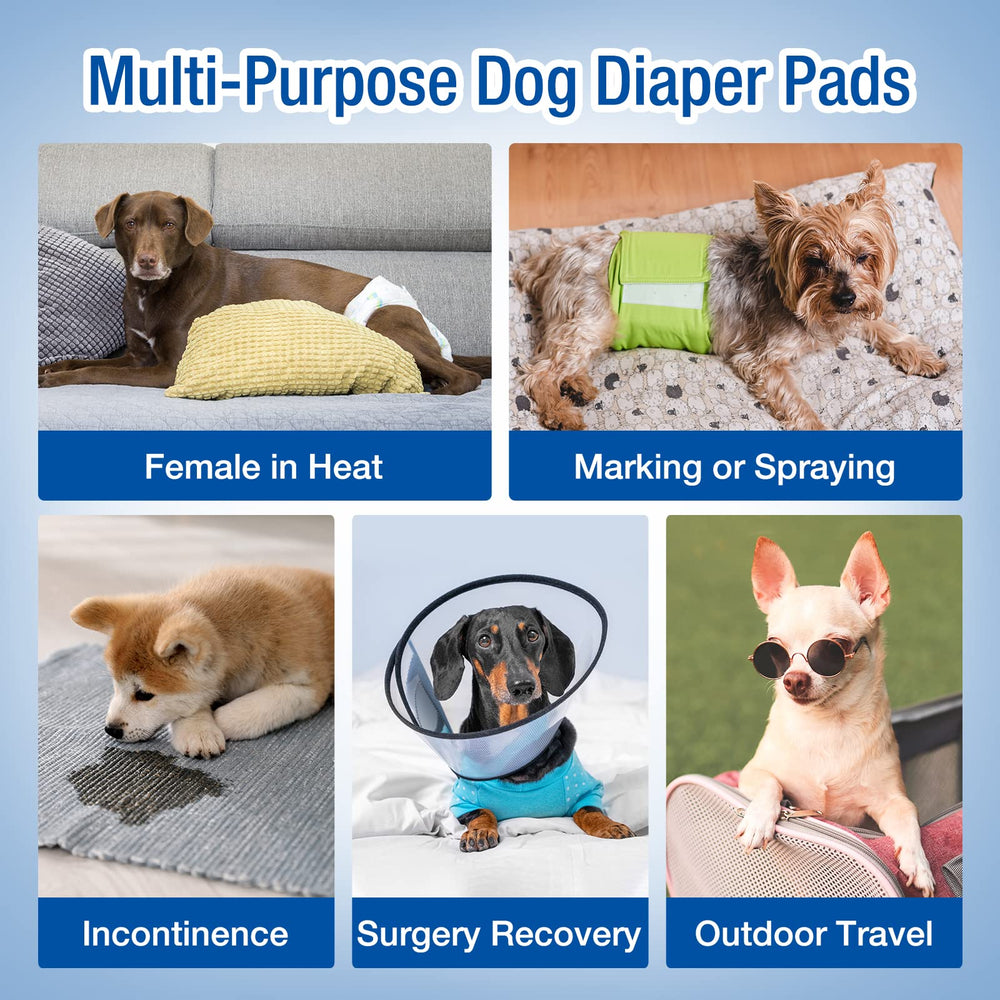 Utilisation facile dans les couches pour chien, nettoyage et propreté accrus
