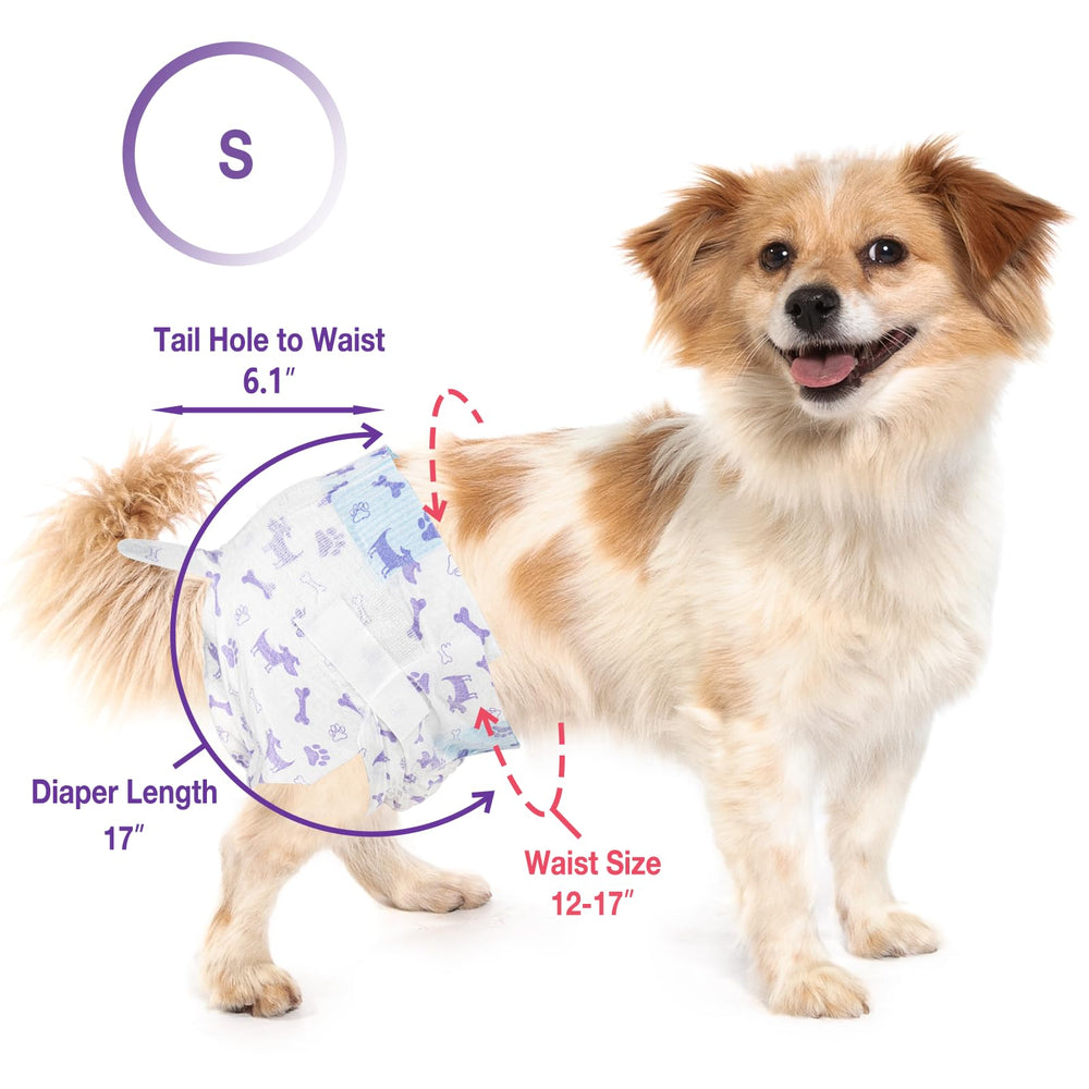 Utilisation quotidienne et voyage avec Pet Soft couches pour chienne femelle.