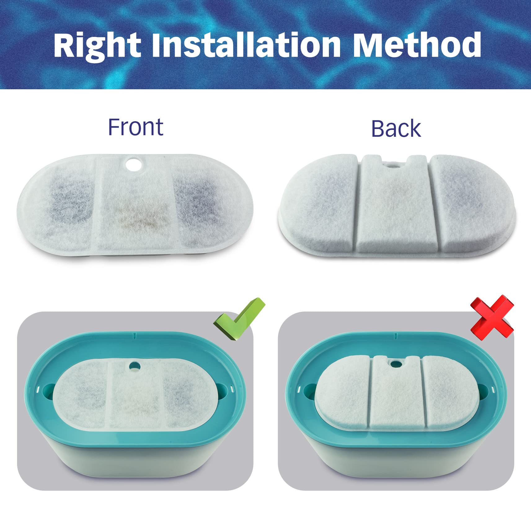 Conception compatible Capsule BPA-Free PETLIBRO.