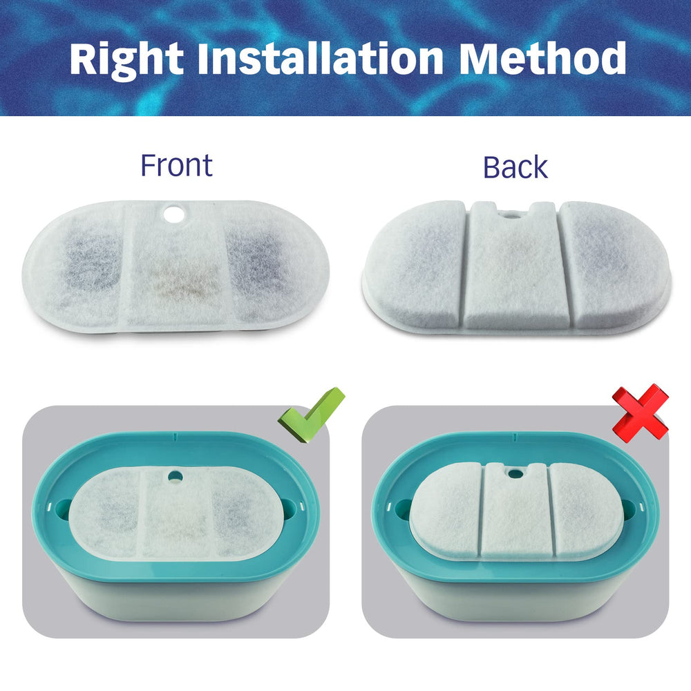 Conception compatible Capsule BPA-Free PETLIBRO.