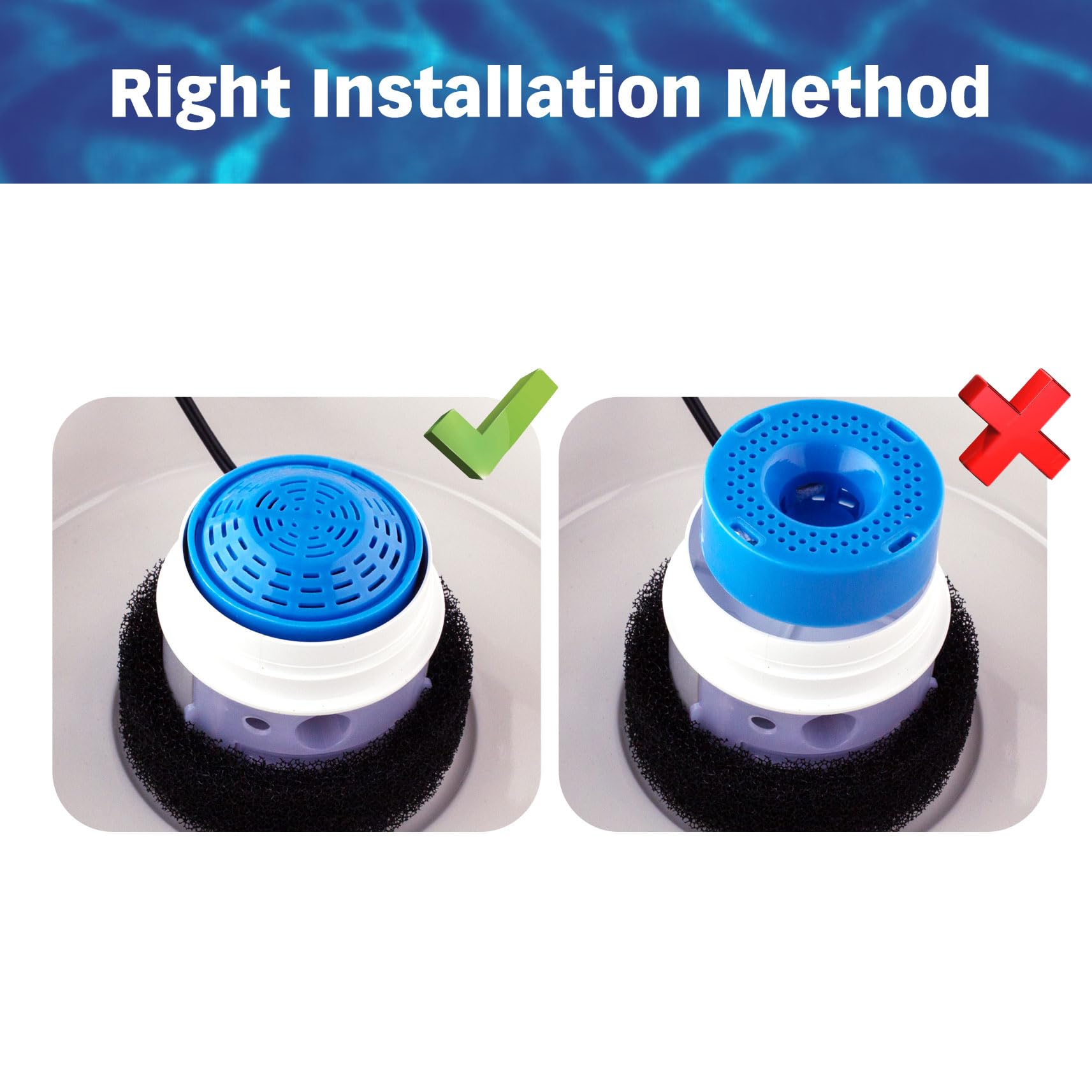 PET STANDARD guide remplacement : conseils saisonniers pour maintenir l'eau propre