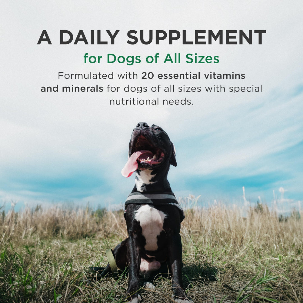 Pet-Tabs Plus: emballage fabriqué aux États-Unis, garantissant qualité et sécurité.