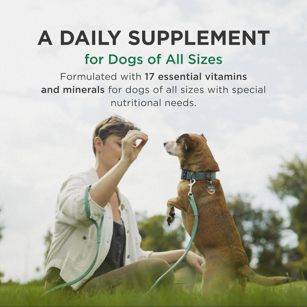Pet-Tabs: dose quotidienne simple pour chiens de toutes tailles