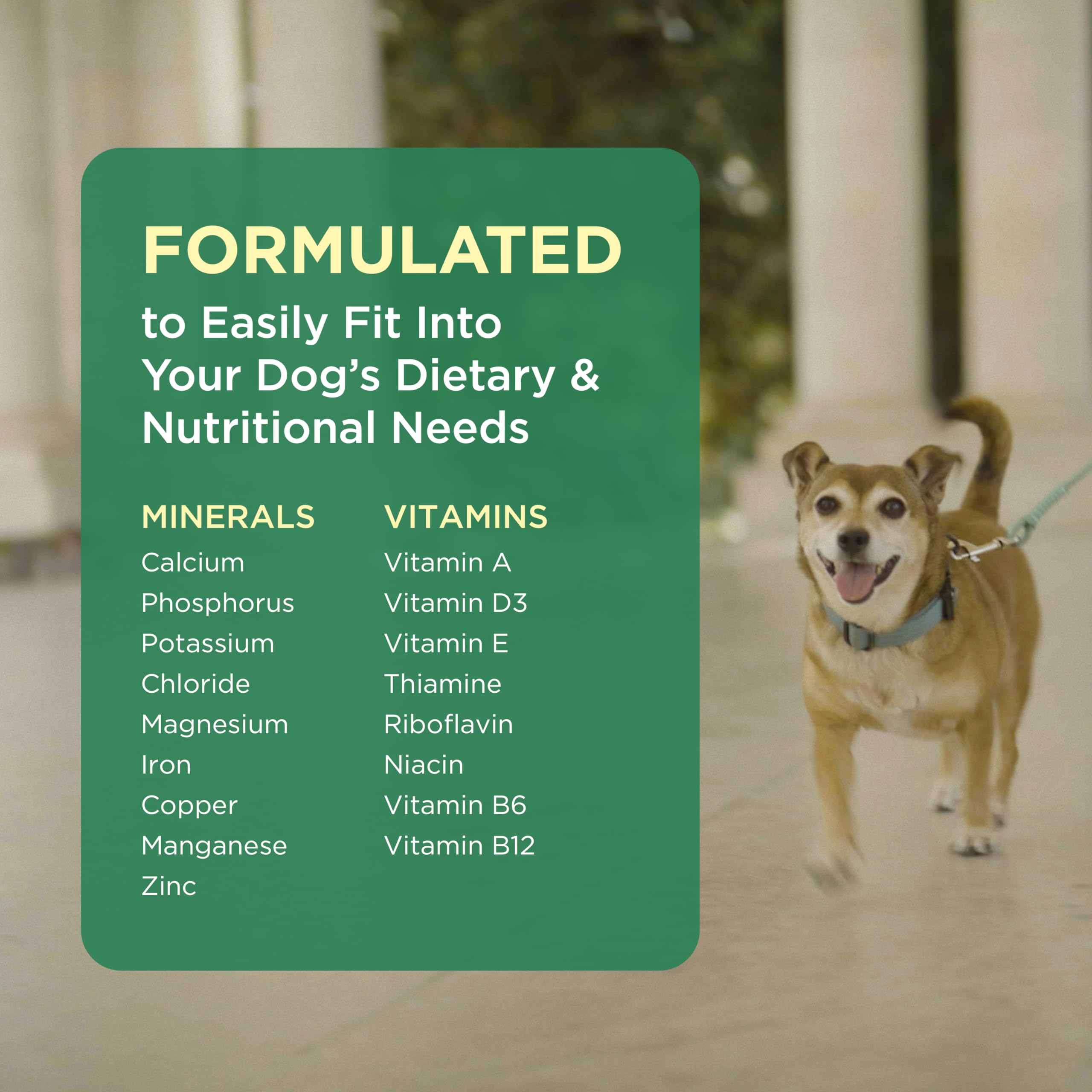 Pet-Tabs usage quotidien, comprimés faciles à intégrer dans la routine.