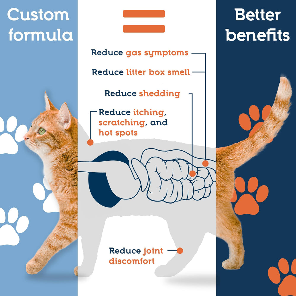 Poudre Pet Ultimates mélangée à la nourriture du chat pour faciliter l’administration.