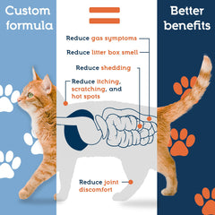 Poudre Pet Ultimates mélangée à la nourriture du chat pour faciliter l’administration.