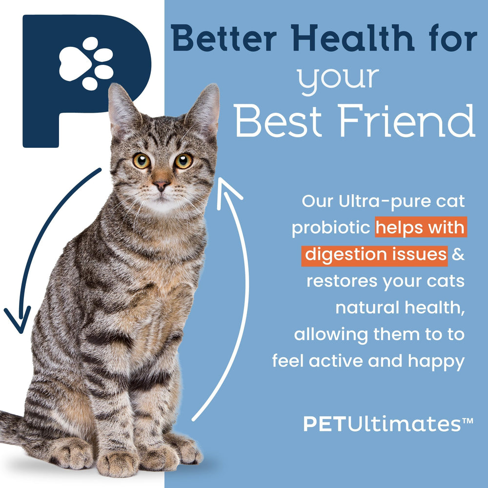 Poudre probiotique Pet Ultimates pour chats avec doseur pour dosage précis.