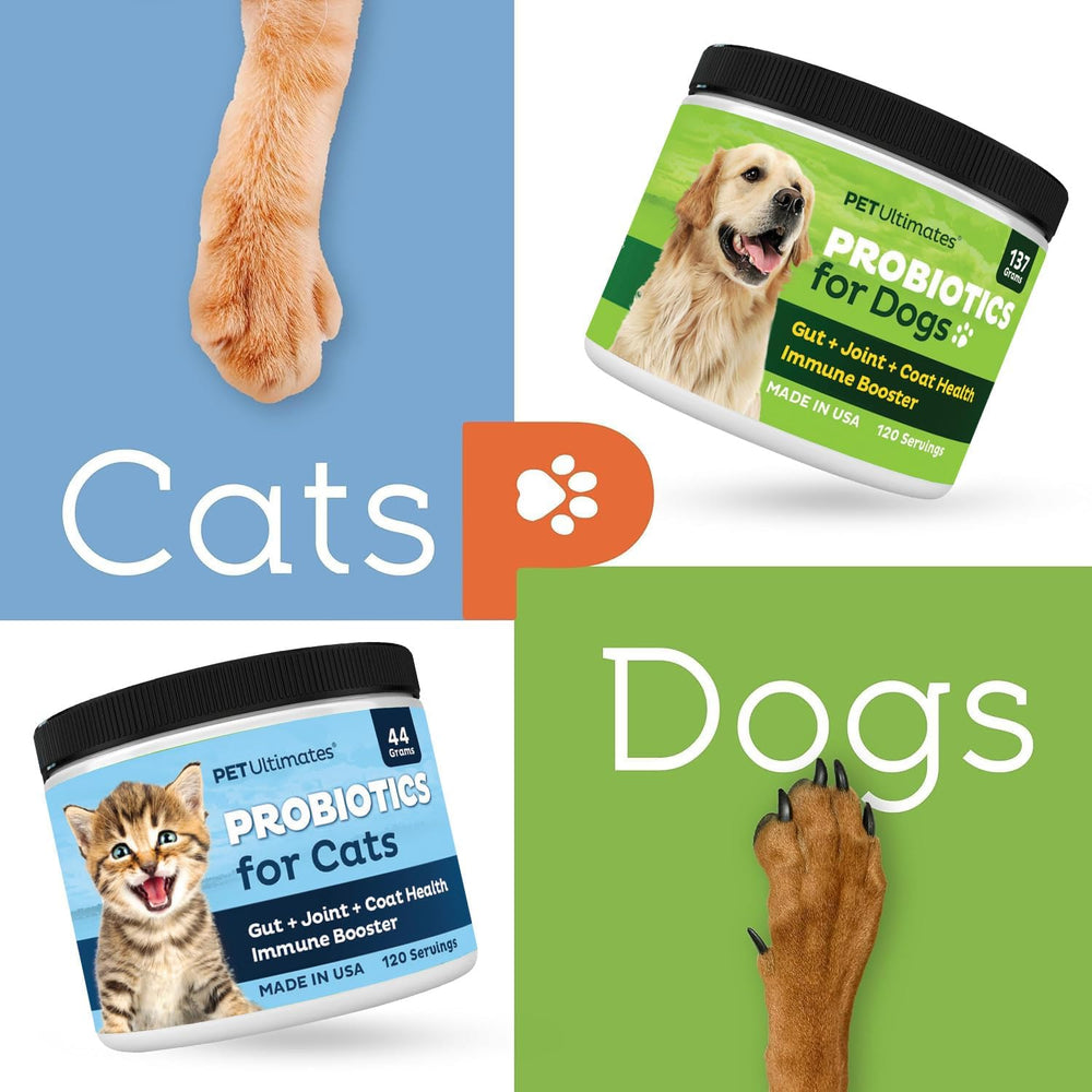 Présentation du pack Pet Ultimates Probiotiques pour chats sur fond neutre.