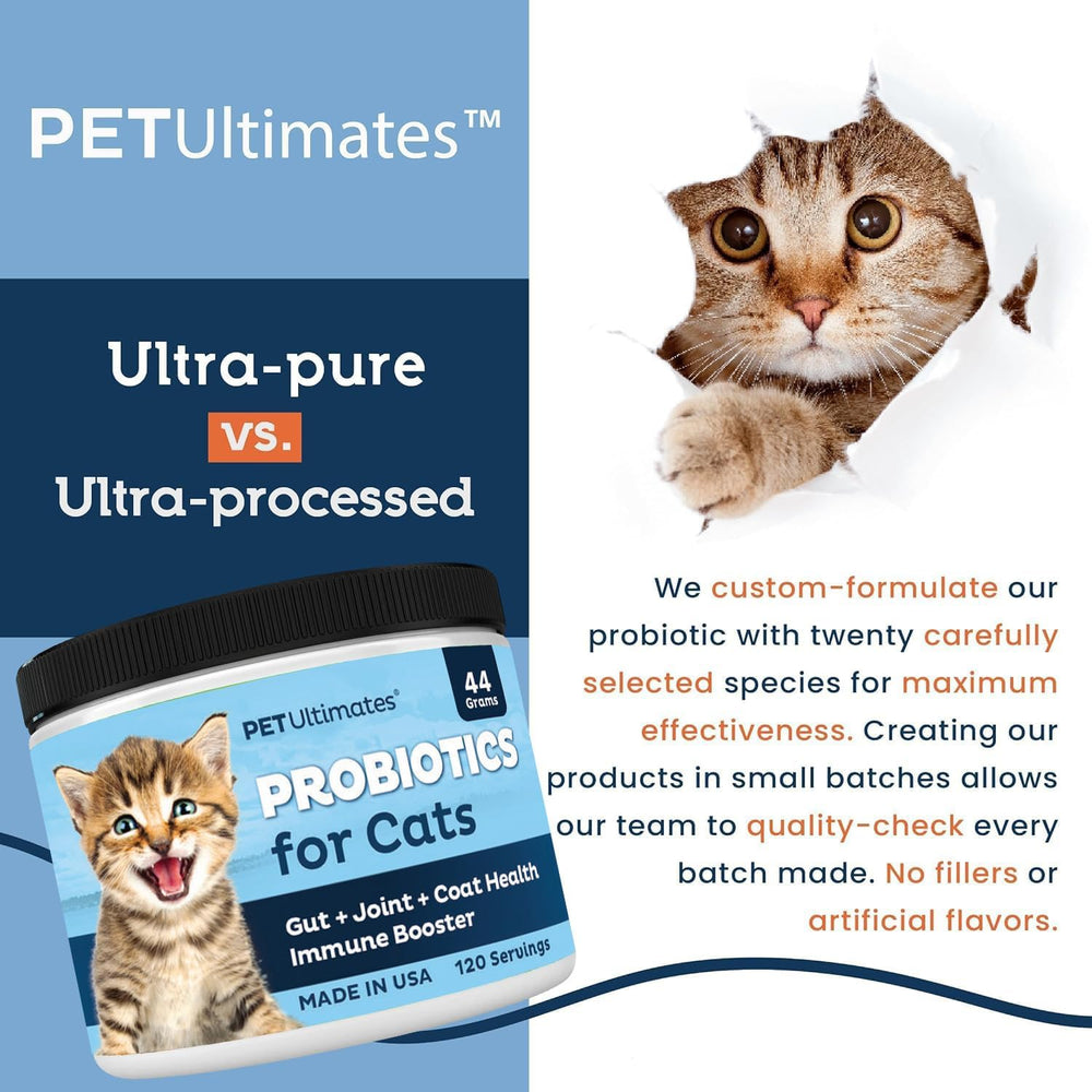 Texture fine de la poudre Pet Ultimates prête à être mélangée facilement.