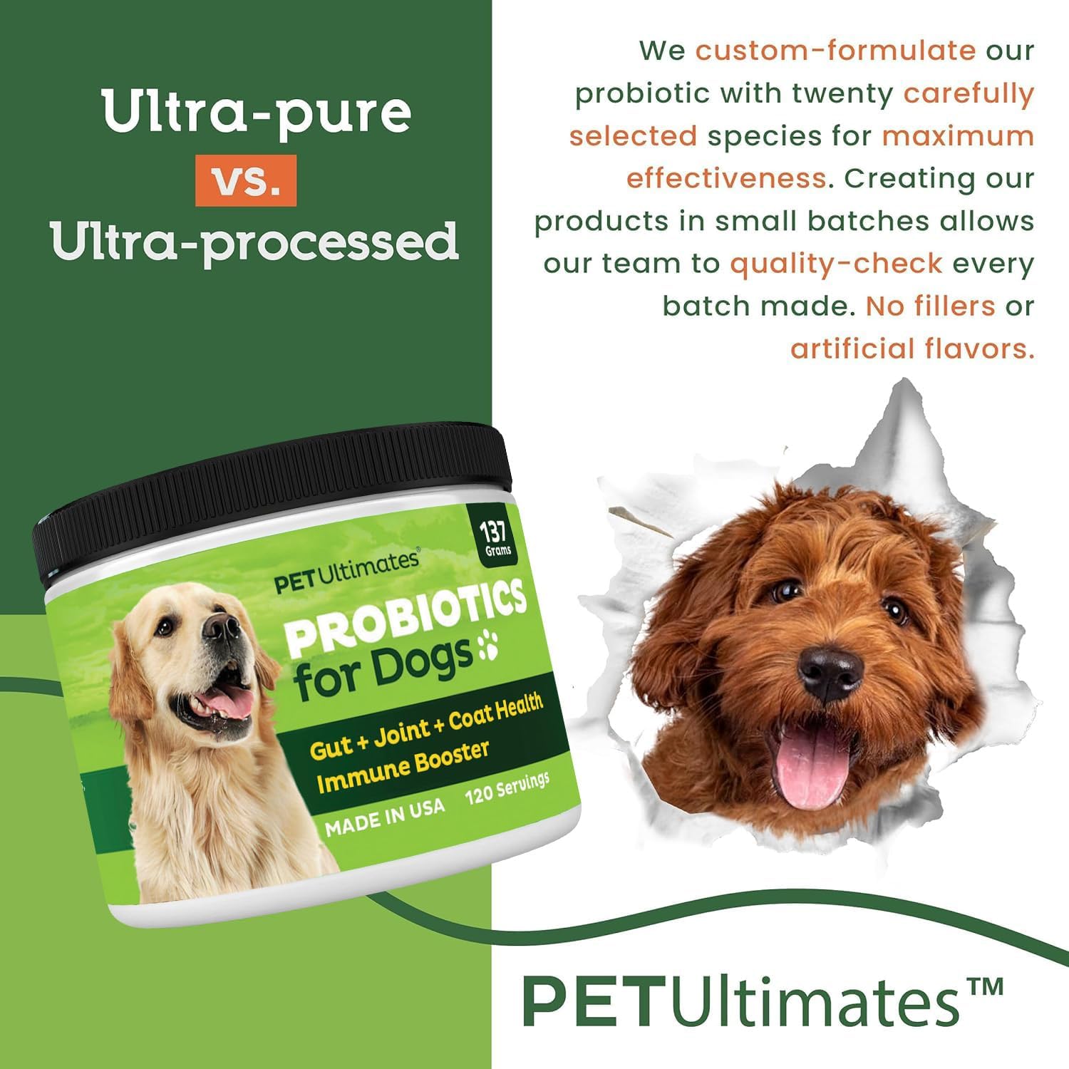 Chien au pelage brillant après Pet Ultimates Probiotiques.