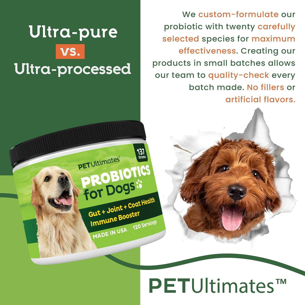Chien au pelage brillant après Pet Ultimates Probiotiques.