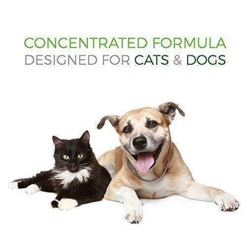 Pet Vitamin Co – fabriqué aux États‑Unis selon des normes de qualité.