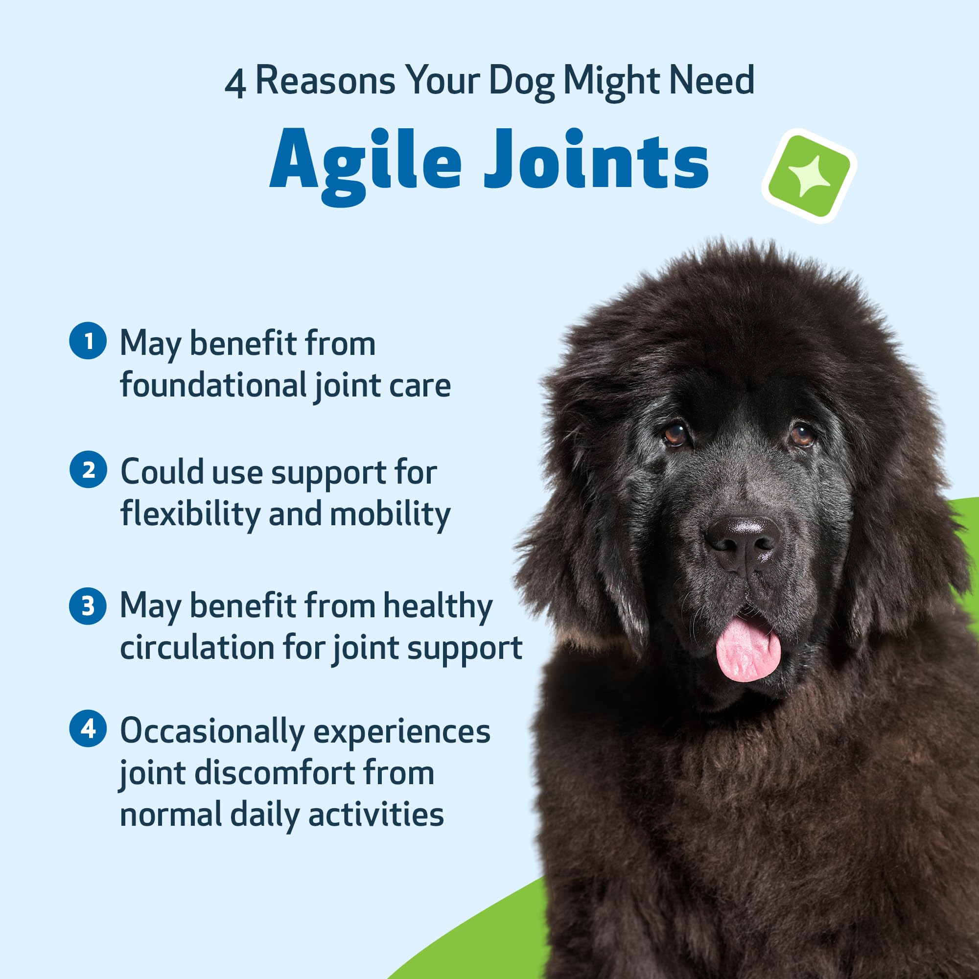 Boswellia dans Agile Joints favorise un confort articulaire naturel.