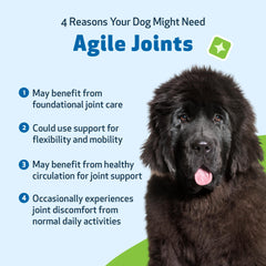 Boswellia dans Agile Joints favorise un confort articulaire naturel.