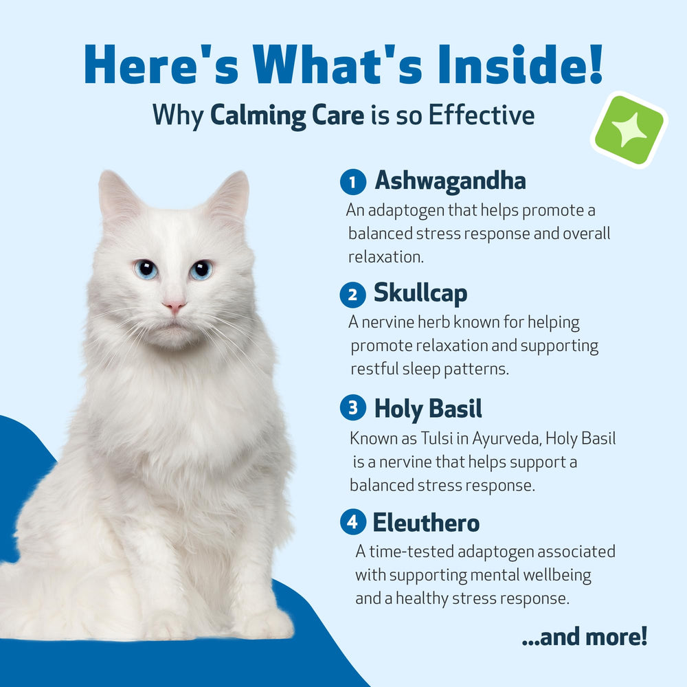 Pet Wellbeing Calming Care – herbes nervines utilisées pour le bien‑être