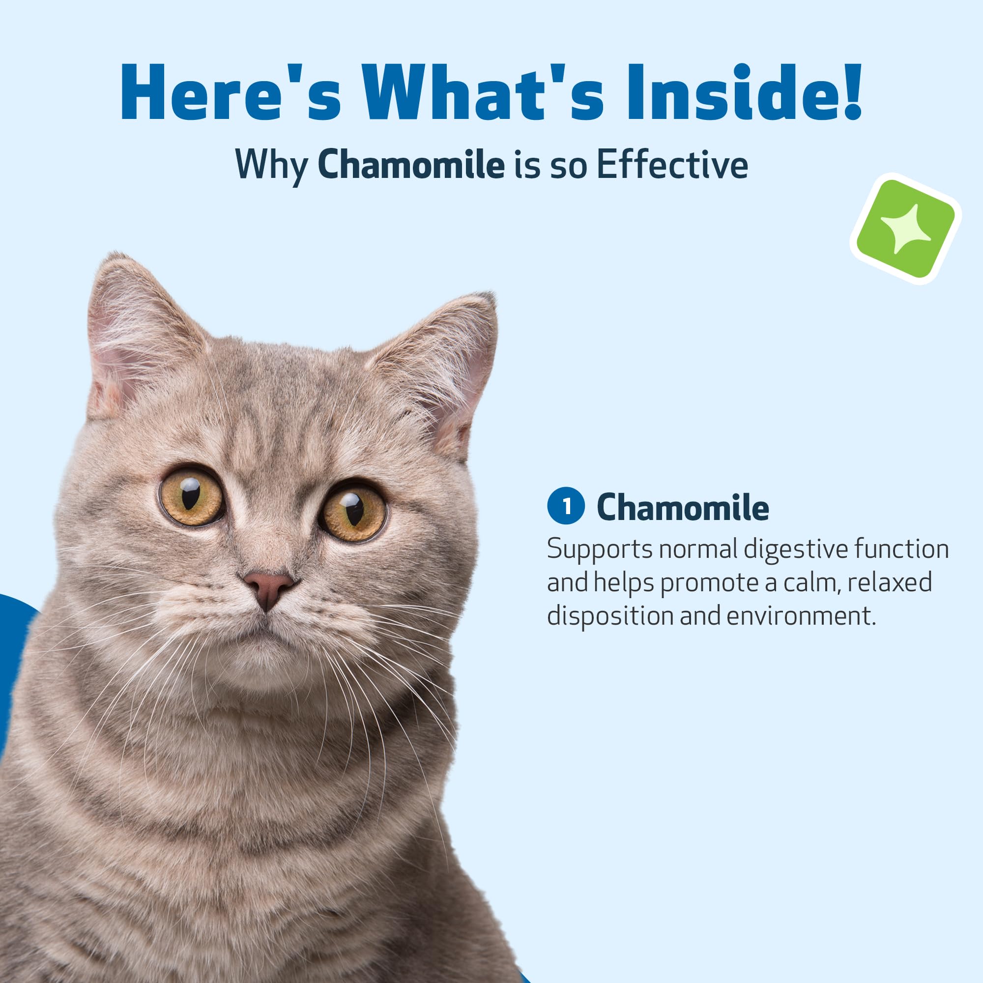 Pet Wellbeing Chamomile – Application facile et dosage précis pour chats sensibles.