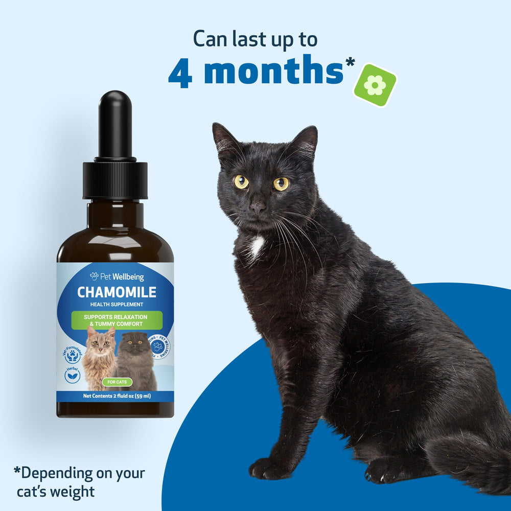 Pet Wellbeing Chamomile – Arôme doux, intégration simple à la routine bien-être.