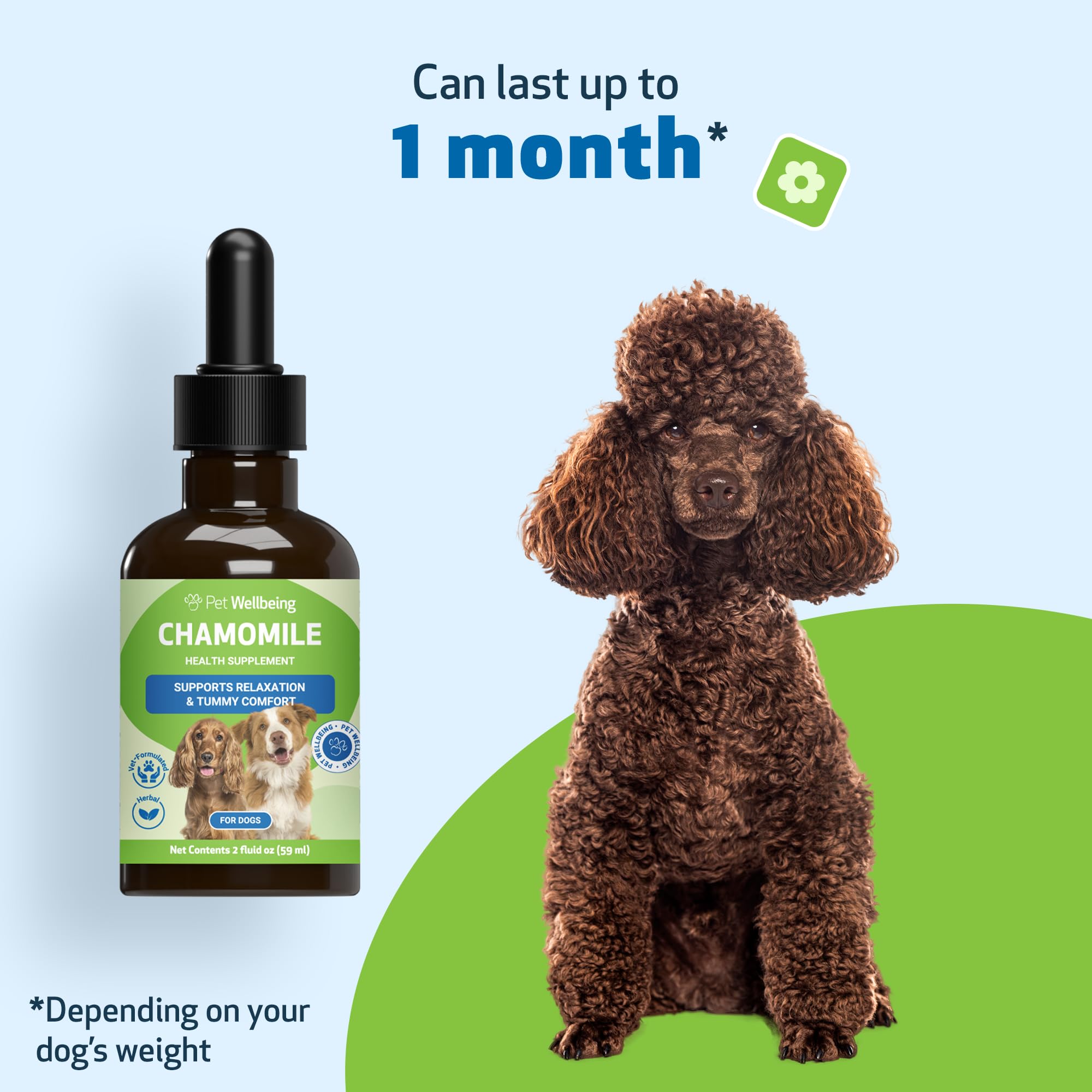 Pet Wellbeing Chamomile, booster de confort pour chiens sensibles au stress.
