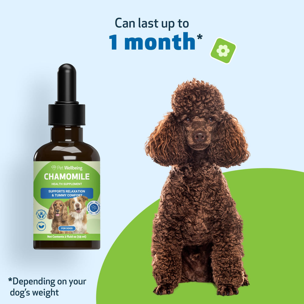 Pet Wellbeing Chamomile, booster de confort pour chiens sensibles au stress.
