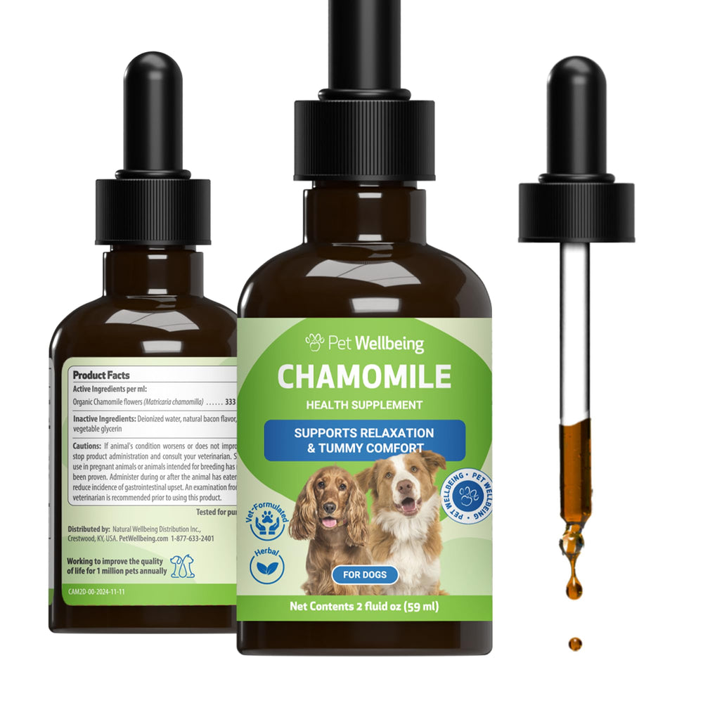 Pet Wellbeing Chamomile, flacon d’extrait pur pour chiens, digestion douce.
