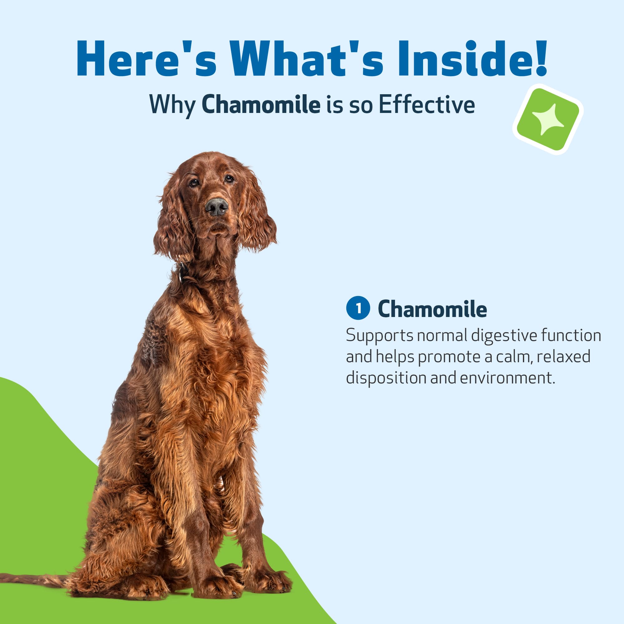 Pet Wellbeing Chamomile, flacon 59 ml pour routine quotidienne de bien‑être.