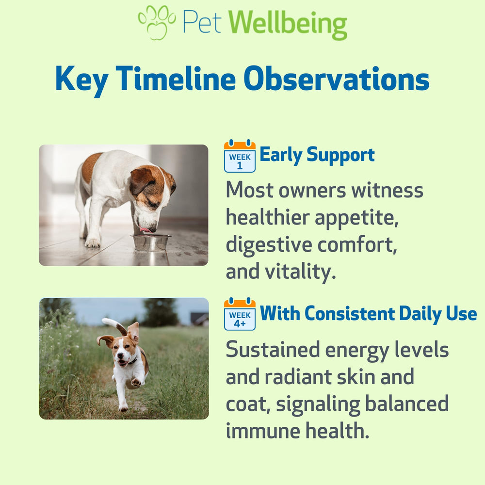 Pet Wellbeing Extrait champignons – Reishi et Maitake dans la formule.