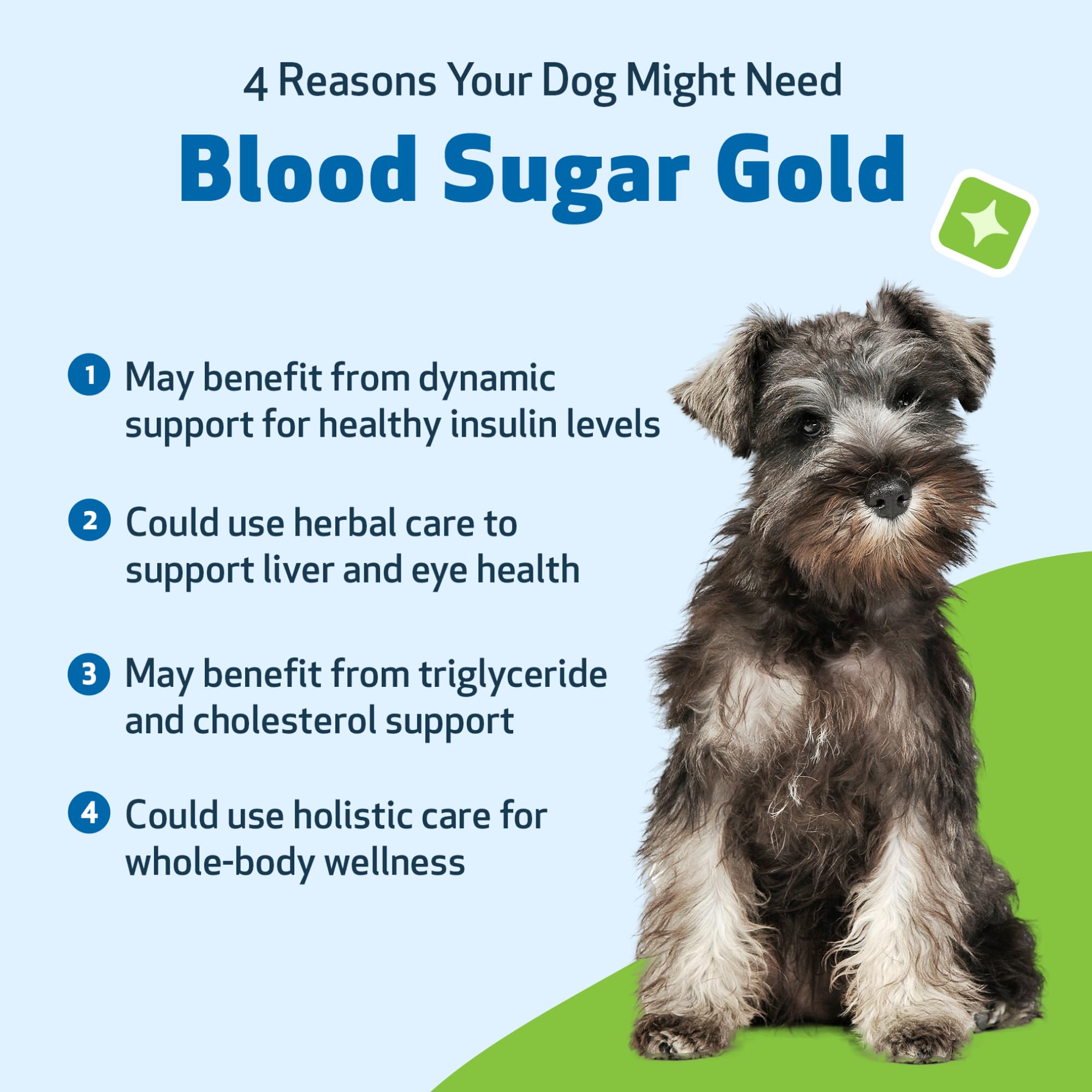 Chien détendu après administration Pet Wellbeing Blood Sugar Gold