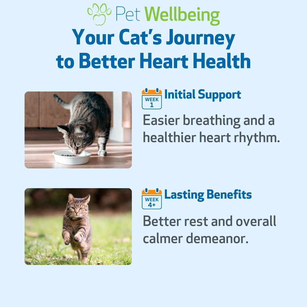 Pet Wellbeing Jeune au Cœur pour Chats — option naturelle pour le bien-être cardiovasculaire.