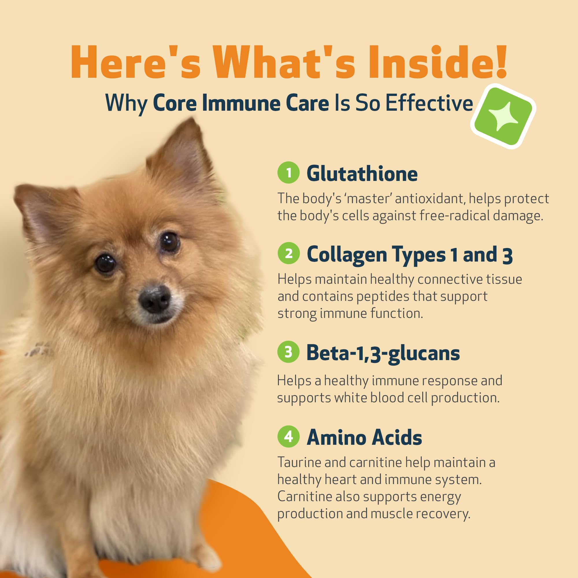 Pet Wellbeing Core Immune Care – Sceau GMP: production sûre et traçabilité.