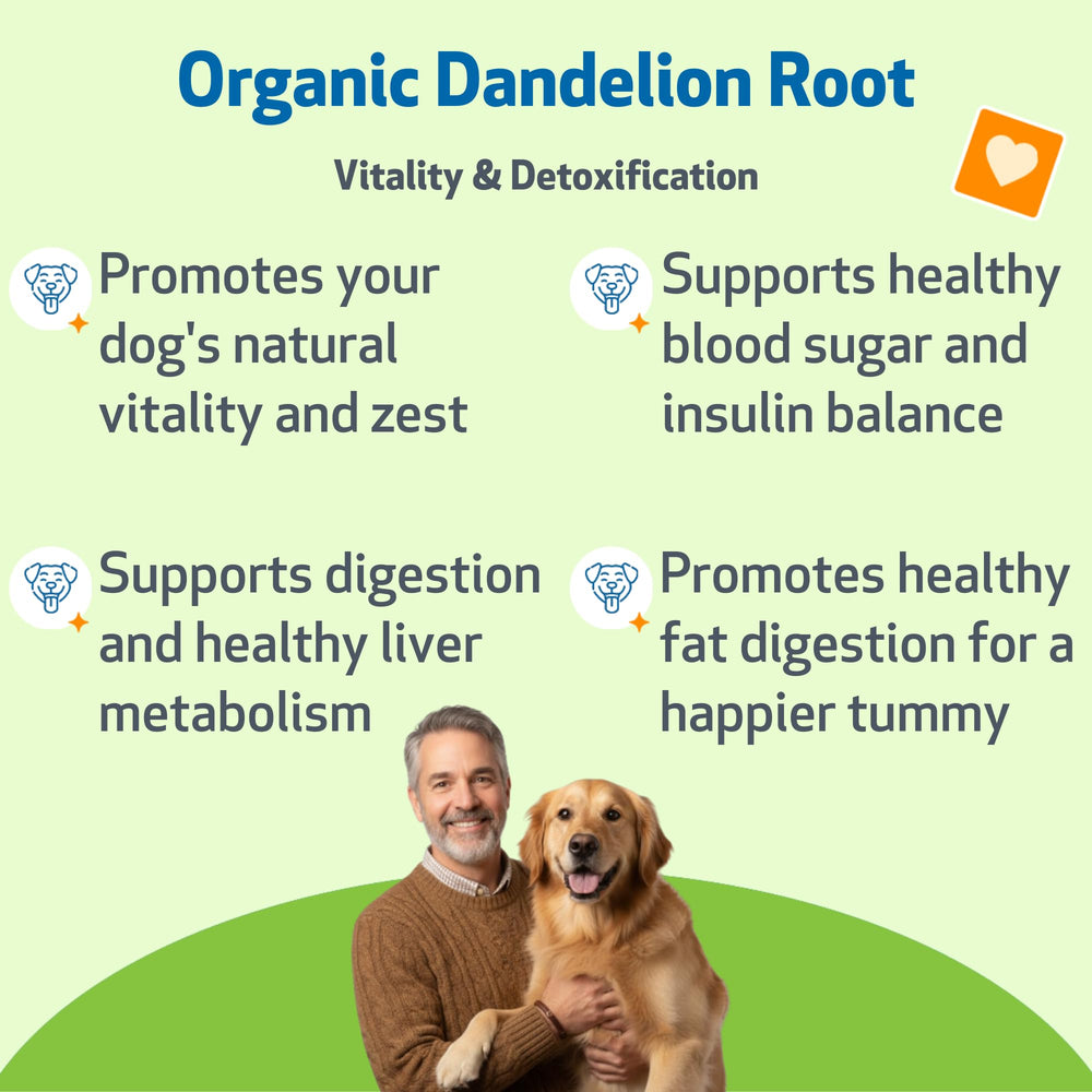 Étiquette Bio Pet Wellbeing Dandelion Root, ingrédients naturels.