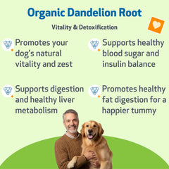 Étiquette Bio Pet Wellbeing Dandelion Root, ingrédients naturels.