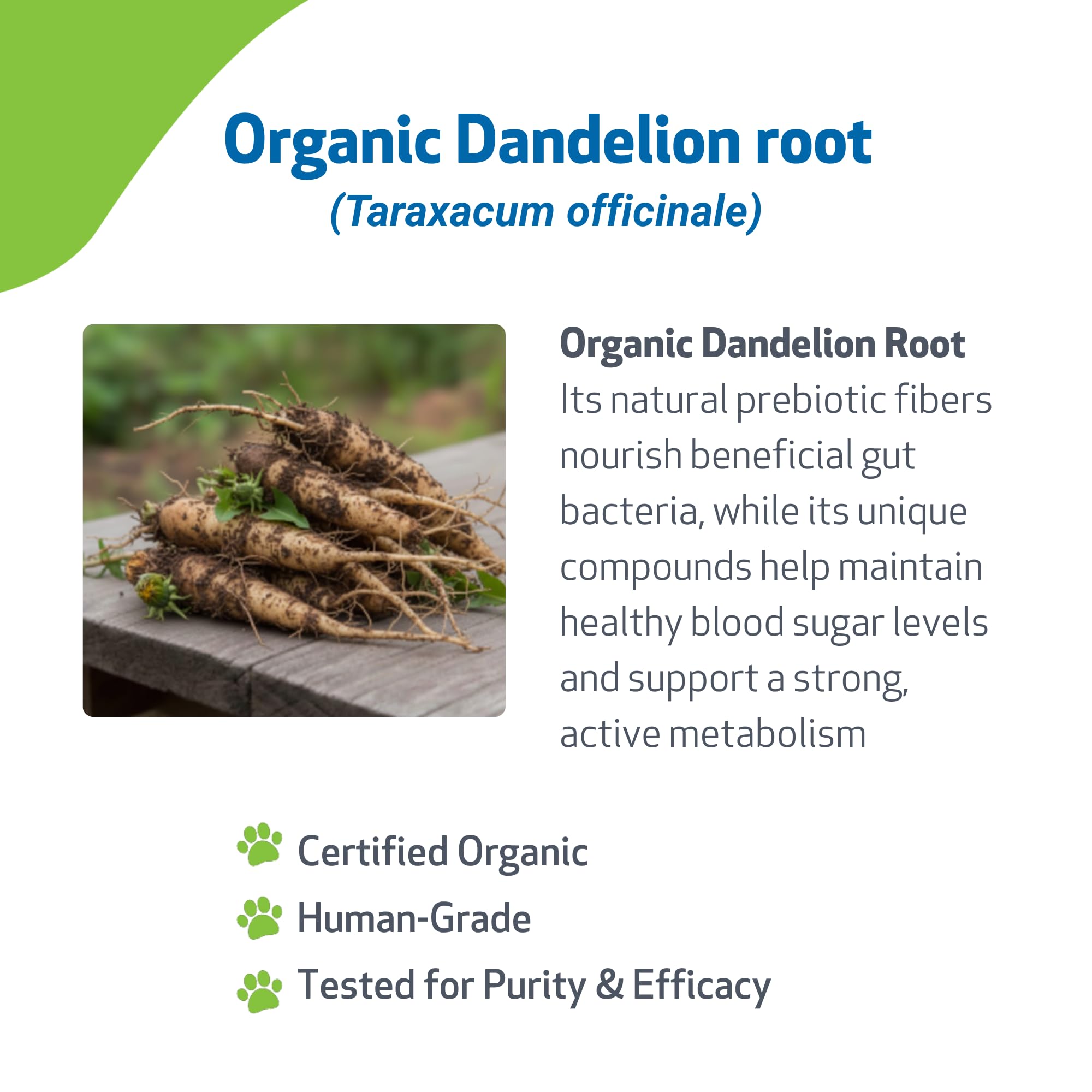 Ingrédients naturels Pet Wellbeing Dandelion Root pour chiens.