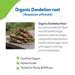 Ingrédients naturels Pet Wellbeing Dandelion Root pour chiens.