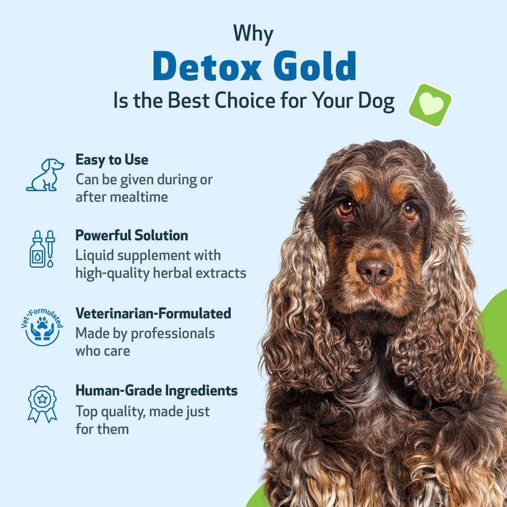 Pet Wellbeing Detox Gold — Dosage quotidien simple pour soutenir les canaux d’élimination.