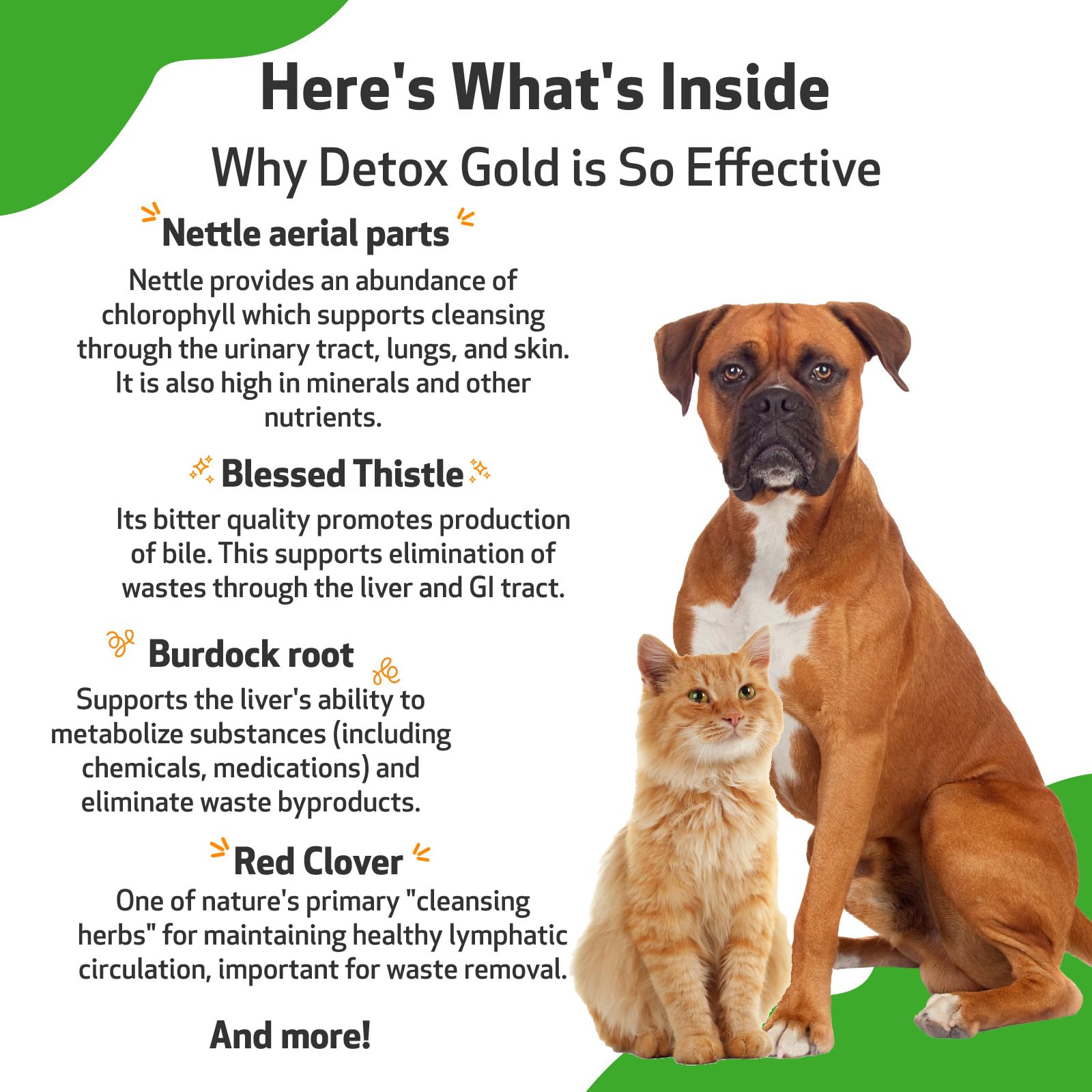 Pet Wellbeing Detox Gold — Utilisation facile dans la routine de soin animale.