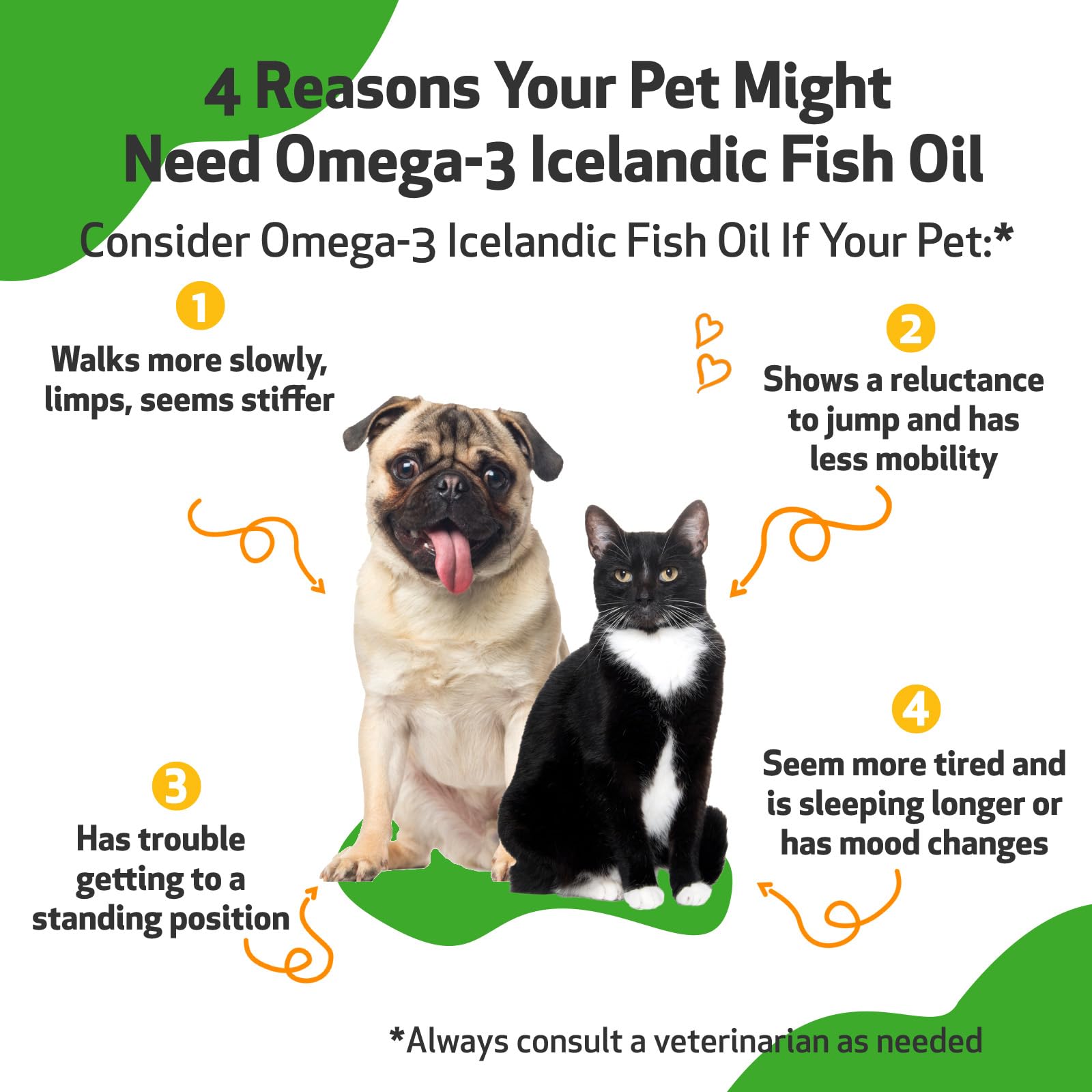 Pet Wellbeing Omega-3 – EPA et DHA pour le bien‑être général du chien.