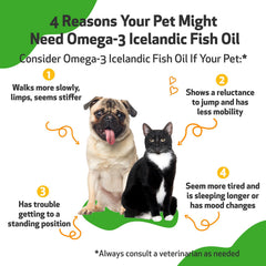 Pet Wellbeing Omega-3 – EPA et DHA pour le bien‑être général du chien.