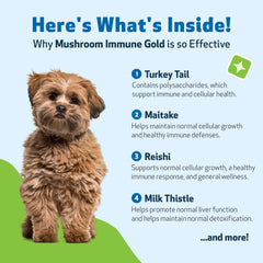 Pet Wellbeing Étiquette claire – complément naturel pour l’immunité canine.