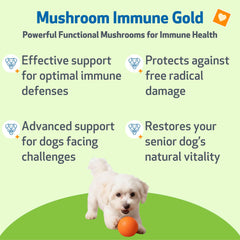 Pet Wellbeing Flacon gouttes – administration facile pour chiens.