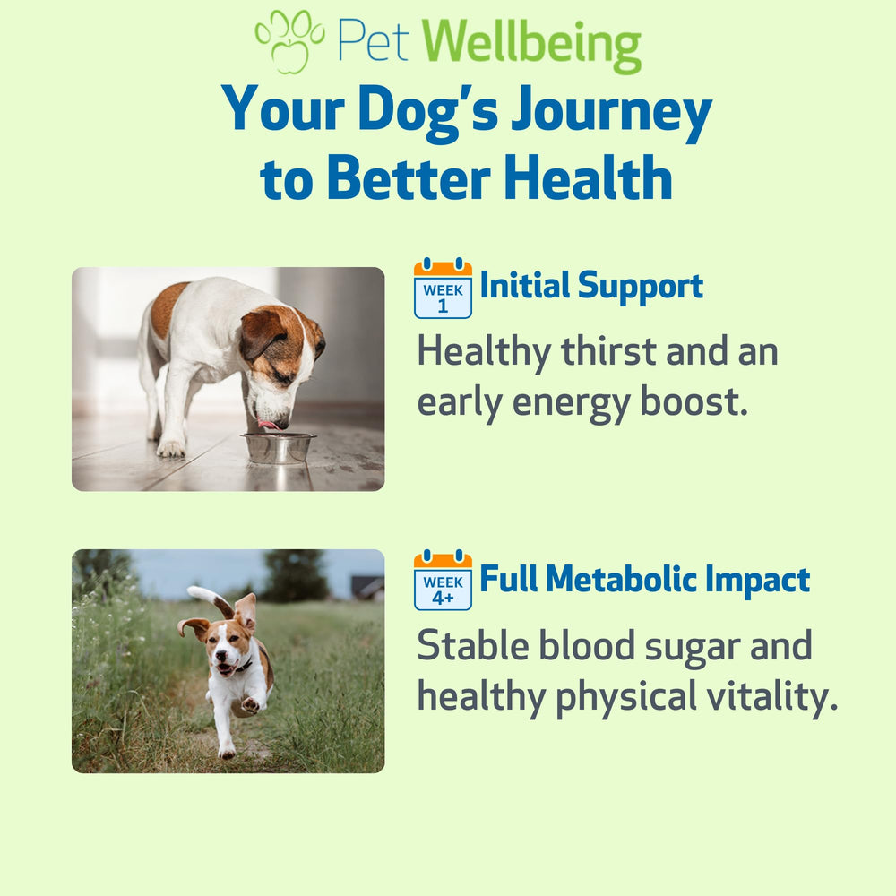 Formule vétérinaire Pet Wellbeing Blood Sugar Gold — soutien holistique potentiellement utile