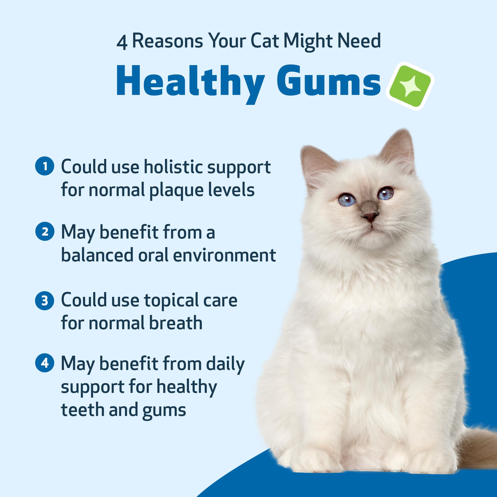 Pet Wellbeing gouttes dentaires faciles à doser pour l’hygiène buccale des chats