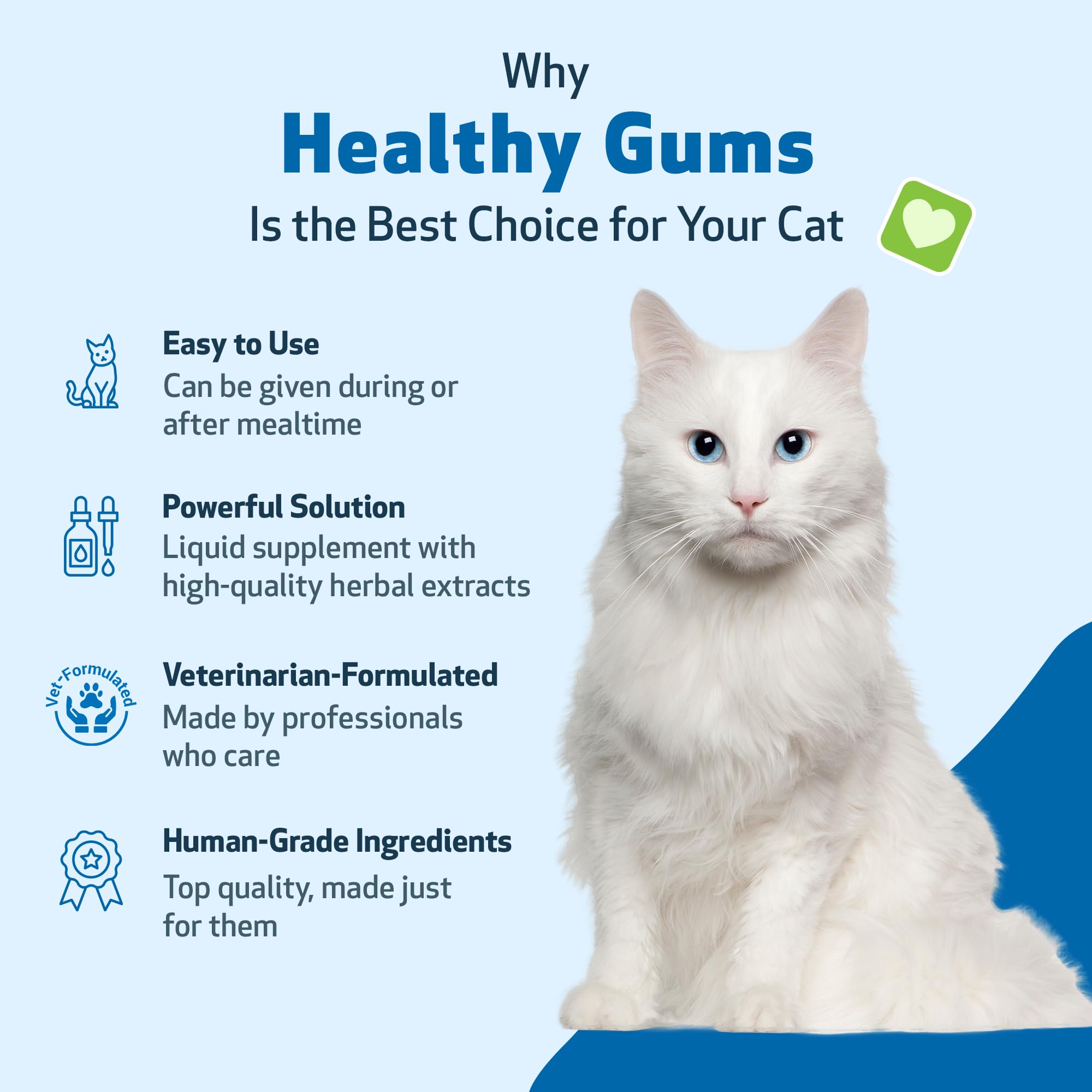 Pet Wellbeing gouttes dentaires à base de plantes pour gencives sensibles félines